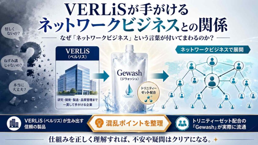 VERLiSが手がけるネットワークビジネスとの関係
